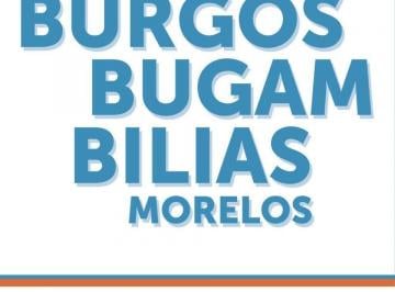 Casa de 3 habitaciones, Emiliano Zapata · Burgos Cuernavaca Casa Nueva