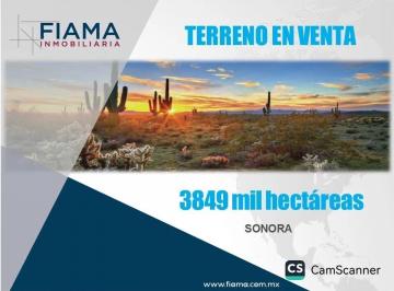 Terreno / Lote , Caborca · Terreno en Venta en Sonora, Mexico
