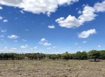 Terreno / Lote · 240m² · Terreno en Venta en Alvarado