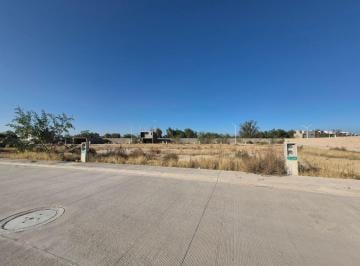 Terreno / Lote , Villa de Pozos · Terreno en Rambla del Mar