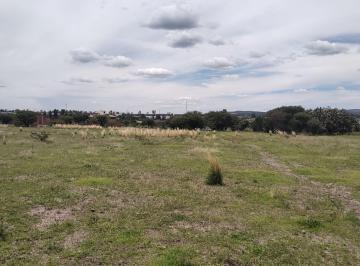 Terreno / Lote , San Miguel de Allende · Terreno de 1 Hectárea en San Miguel de Allende, Gto.