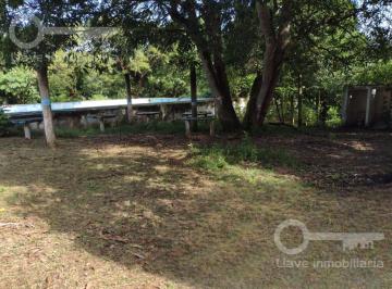 Terreno / Lote · 59m² · Terreno en Venta en Ejido Mapachapa