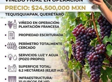 Terreno / Lote · 62621m² · 1 Recámara · Viñedo en Operacion en Venta, Tequisquiapan, Qro. Ejido de Tequisquiapan Sup. 6.2 Ha