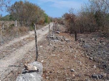 Terreno / Lote , Dzilam de Bravo · Terreno en Venta de 33.8 Hectáreas en Dzilam de Bravo Yucatán Cerca de La Playa