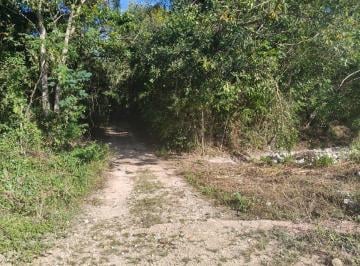36e88c2403305446fd318cb33a5d43569e4db14c9925a24f2ea3c13467ca01ae · Macro - Lote en Venta San Patricio, Carretera Federal Bacalar - Xtomoc
