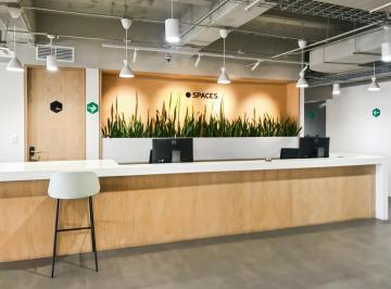 Oficina · 5m² · Trabaja Desde Cualquier Lugar con Una Oficina Virtual en Mexico City, Hamburgo