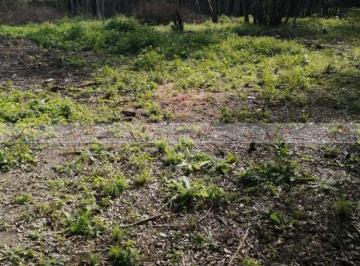 Terreno / Lote · 2135m² · Terreno / Lote en Venta en Los Guzman