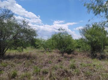 Terreno / Lote · 40000m² · Terreno en Venta de 4 Hectáreas Pesquería Nuevo León.