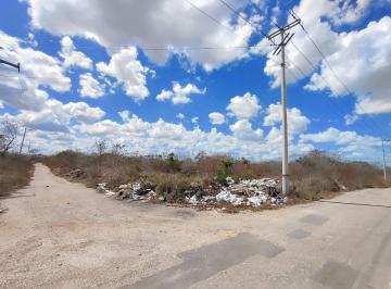 Terreno / Lote , Mérida · Terreno en Venta en Esquina, Chichi Suarez, Mérida, Poste de Luz a La Puerta, 326 m² de Superficie