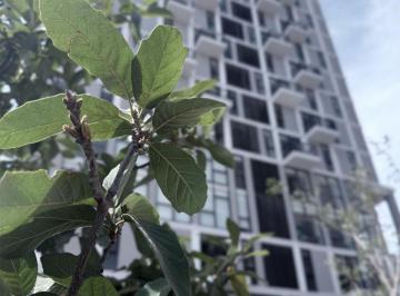 Departamento · 1 Recámara · Deptos Desde $2,700,000 León Al Norte. Balcones del Campestre.