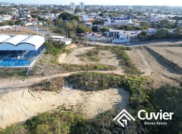 Terreno / Lote · Terreno en Flamboyanes