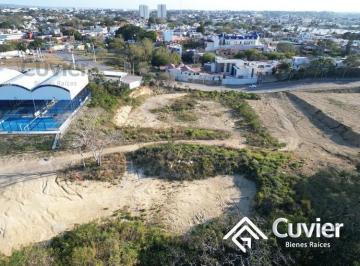 Terreno / Lote · Terreno en Flamboyanes