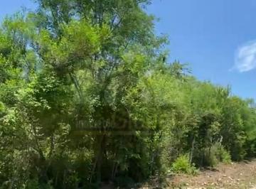 Casa · 75000m² · Oportunidad Quinta Grande 75,000 m² con Casa y Nogalera (Algo de Plazo) en Cadereyta Nl