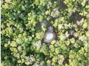 Terreno / Lote · 10000m² · Hectarea con Cenote Privado, en Region 12, Tulum - Listo Para Tu Sueños