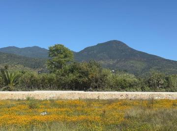 Terreno / Lote , San Juan Bautista Guelache · Terreno en Venta en San Miguel Guelache Etla