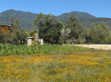Terreno / Lote , San Juan Bautista Guelache · Terreno de 1572 m² en Venta en Pueblo San Miguel Etla
