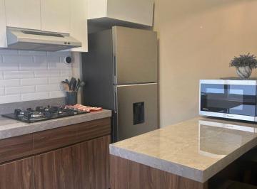 Departamento de 1 habitación, Miguel Hidalgo · Excelente Suite en Renta en San Miguel Chapultepec