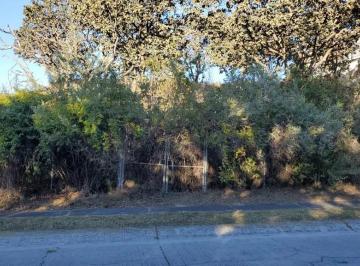 Terreno / Lote , Tlajomulco de Zúñiga · Terreno de 780 m² en Venta, El Palomar