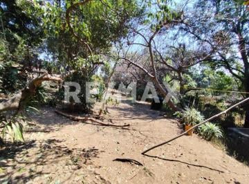 Terreno / Lote · 7210m² - REMAX GUIZAR · Venta Terreno en Tenancingo, Estado de México