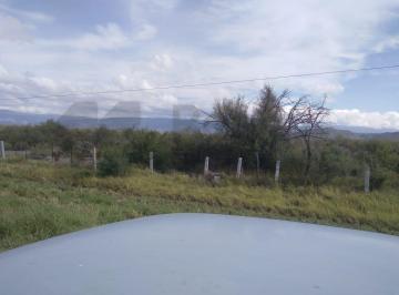 447610 · Terrenos en Renta en Castaños Centro