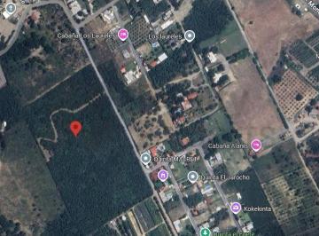 600739 · Terrenos en Venta en Los Laureles