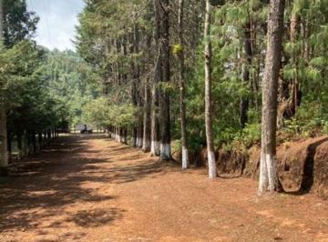 Terreno / Lote , Acaxochitlán · Venta de Terreno en Hidalgo