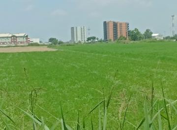 Terreno / Lote , Celaya · Terreno en Venta de 10 Hectáreas Frente a Liverpool en Celaya