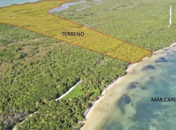 Terreno / Lote · 224820m² · Terreno en Venta en Tulum 22.4 Has con Frente de Playa | Kc0003