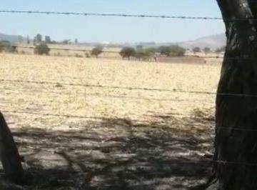 Terreno / Lote · 1000000m² · Terreno en Venta con Pozo de Agua en Tlajomulco de Zúñiga, Jalisco