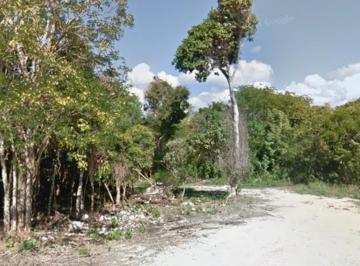 Terreno / Lote · 25000m² · Terreno en Venta, Playa del Carmen, Q. Roo