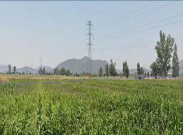 Terreno / Lote · 39800000m² · Terreno en Venta