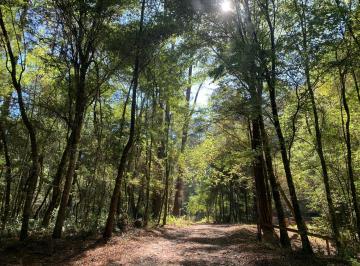 Terreno / Lote · 5000m² · Terreno en Venta - (4)