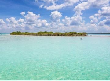 Terreno / Lote , Bacalar · Venta de Terreno en Bacalar, Cayo Hueso Autopista Chetumal - Cancún