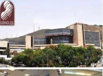 Oficina · 265m² · 5 Estacionamientos · Oficina en Venta en Losoles