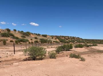 Rancho · 39390000m² · Rancho Ganadero en Ascención (Ejido Cuahutemoc 3939 Has)