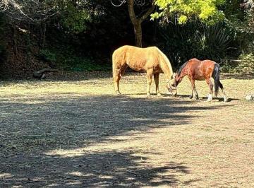 5173a0f2abe0adabf152be7d183cd19ff7916c5057b6e2aa5ea6abfd99239c32 · Desierto de Los Leones, Residencia Inserta en un Oasis Dentro de La Cdmx
