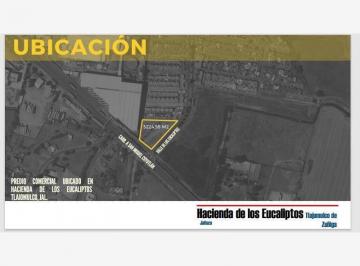 1 · Terreno en Venta en Hacienda Los Eucaliptos, Tlajomulco de Zúñiga, Jalisco