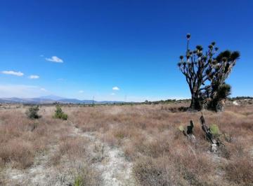 Terreno / Lote · 950000ha · 95 Hectáreas, Ideal Para Planta Solar, Venta, Puebla