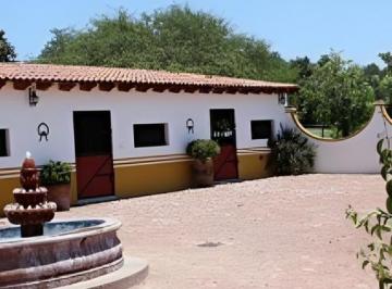 Rancho · 70800m² · 3 Recámaras · 15 Estacionamientos · Rancho en Venta en Carretera San Miguel de Allende Dolores Hidalgo