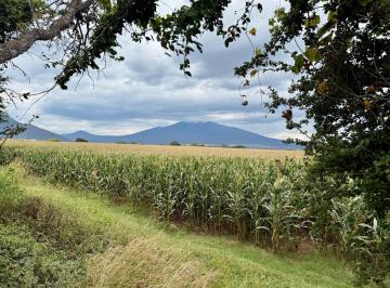 Terreno / Lote · 569m² · Terreno en El Ocote Poniente S/n Amatitán, Jalisco