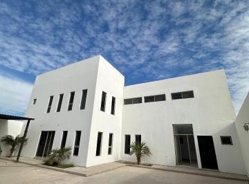 Oficina · 450m² · Oficina en Anna