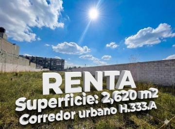 Terreno / Lote , Metepec · Terreno en Renta Sobre Vicente Guerrero Norte