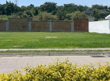 Terreno / Lote , Emiliano Zapata · Terreno Plano en Venta en Paraíso Country Club – Promoción Especia