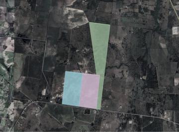 Terreno industrial , Altamira · Terreno en Altamira Tamaulipas 219 Hectáreas