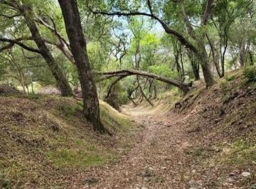 1 · Venta de Terreno en Montemorelos, Nuevo Leon