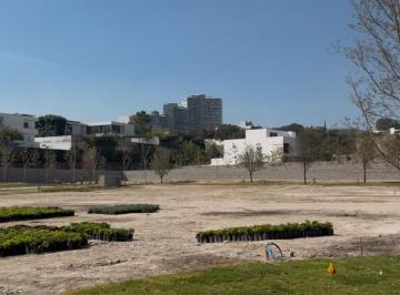 Terreno / Lote · 505m² · Terreno de Venta en Travessera Juan Palomar y Arias
