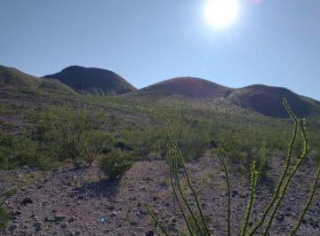 Rancho · Rancho - Santo Domingo