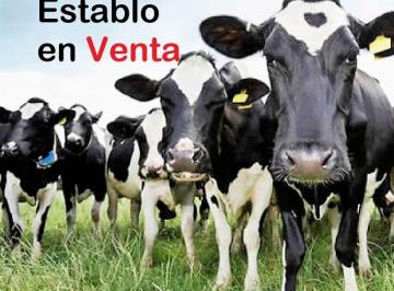 Rancho de 4 habitaciones, Cajeme · Rancho Lechero Establo en Venta Ganado Vacas Lecheras Holstein