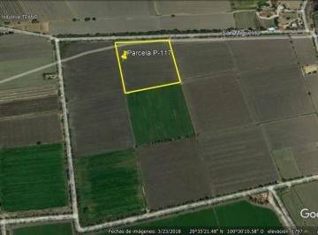 Caleras P-117 - 9.png · San Miguelito Caleras P - 117