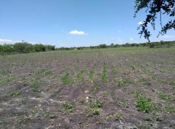 Terreno / Lote · 20000m² · ¡Gran Oportunidad! Terreno Agricola en Remate